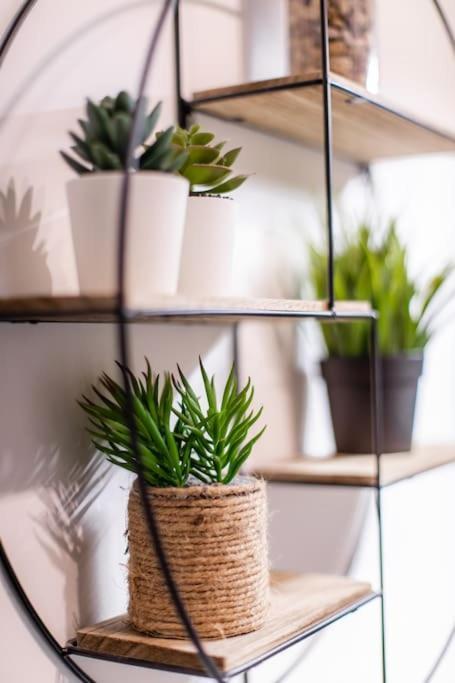 Forest Chic : Maison San Marina Apartment Parmain Ngoại thất bức ảnh